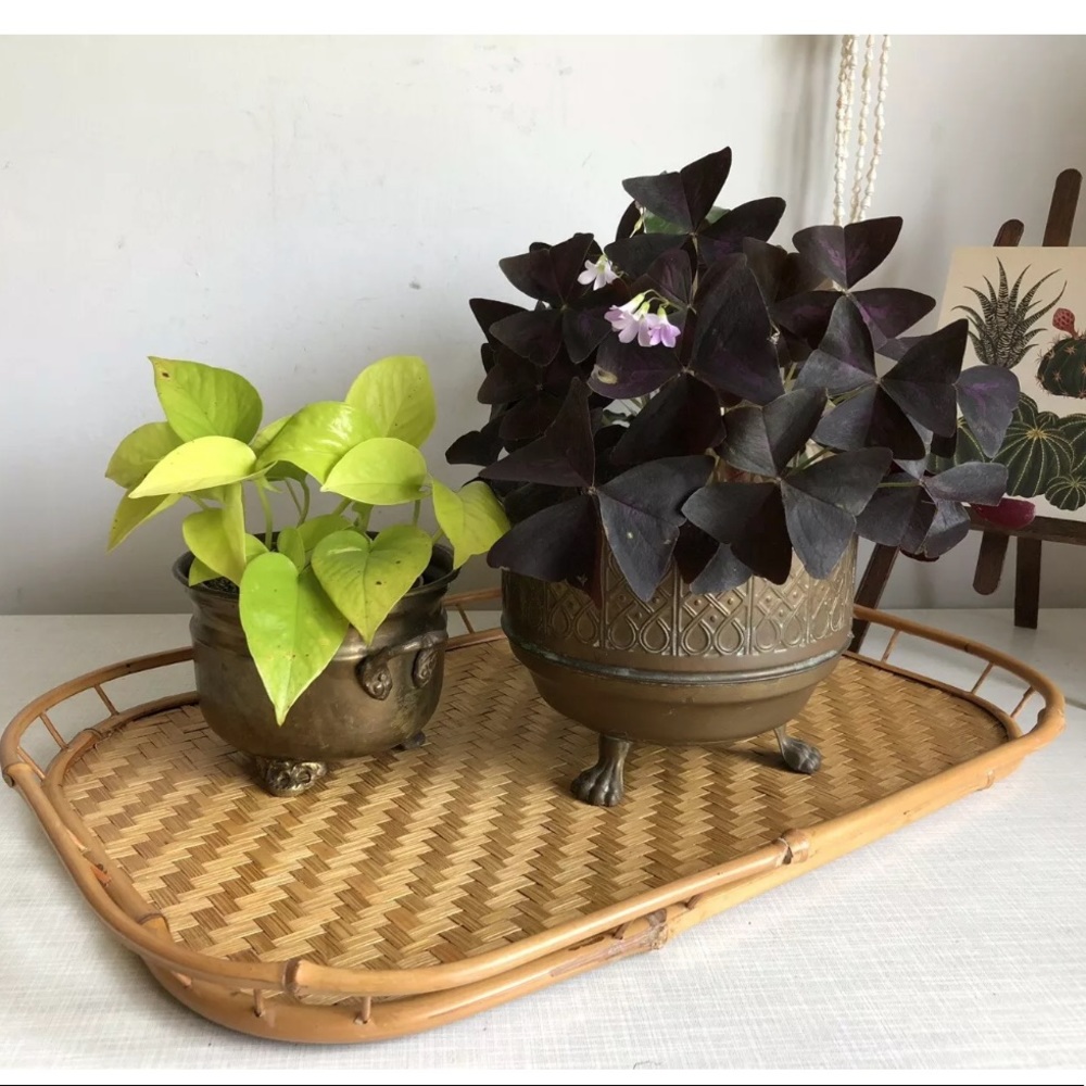 Vintage bamboo tray bundle